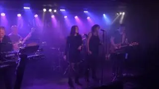 Steamy Haze Daveys 250513 at JJ Music House