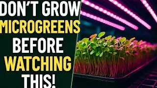 Challenges Of Vertical Farming
