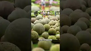 Башня дьявола 🌋