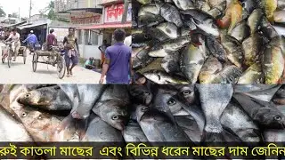 বাগেরহাট জেলার বৃহত্তম পাইকারি মাছের আড়ৎ ফল তিতা বাজার!! রুই কাতলা মাছের পাইকারি দাম জেনে নিন।