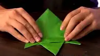 How to Make an Origami Falcon