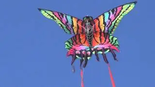 XKites Costco Butterfly Kite