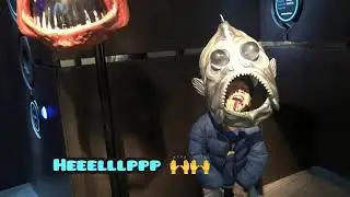 Museum of New Zealand Te Papa Tongarewa