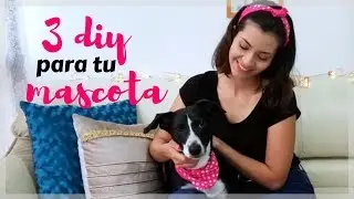 DIY - 3 regalos para tu perro hechos en casa