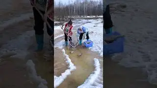 Taiwanese Two Cute Girl Catching Fish #ytshorts #fish