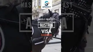 Austria Visa Assistance #schengenvisa #schengenvisaapplication #austria #visaapplication #visa