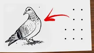 how to draw pigeon drawing easy step by step‪ || Easy bird drawing