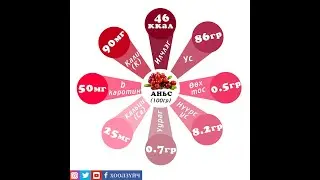 |Хоолзүйч зөвлөж байна| Зэрлэг жимсний ач тус, зөв хэрэглээ