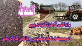Mustard Thresher Machine