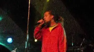 Bagga T - Singerman