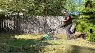 Unlocking the Power of Thatch Removal: Visual Benefits of Power Rake