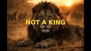 Lions Aren&rsquo;t Kings &mdash; The Crown Is a Trap