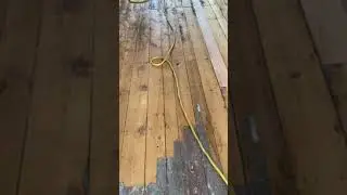 Refinish antique pine floor