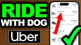 Как пользоваться Uber с собакой-поводырем (ОБНОВЛЕНО В 2025 ГОДУ) &mdash; Простое руководство!