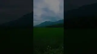 ഇനി മുട്ടുകാട് ഭരിക്കും#shorts #vlog #reels #nature #travel #explore #munnar #tourism #kerala