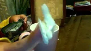 Watapachi Melon Soda CANDY!