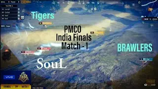 SouL vs Brawlers vs Tigers | PMCO India Finals Match 1 highlights