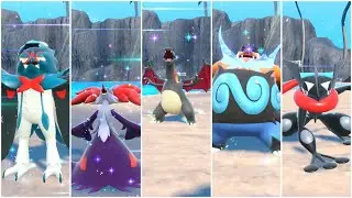 I Hunted Every Black Shiny Starter in Pokemon Scarlet & Violet's DLC - Indigo Disk DLC