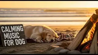 24/7 Dog TV : Calming Music for Separation Anxiety - Help Your Dog Relax and Sleep Soundly 😴🏡