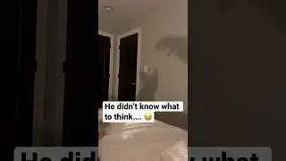 Dog scared of the shadow monster&hellip;. Hilarious! 😂 #shorts #dogshorts