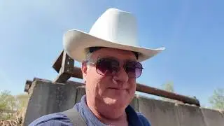 vlog 37