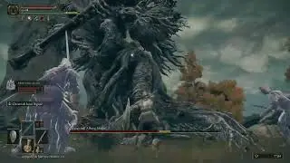 use moonveil to defeat the Erdtree Avatar -  Avatar dell'Albero Madre -  - Elden ring boss fight