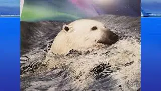 Hunter's Icy Adventure