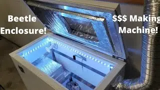 Dermestid Beetles Housing Setup | Skull Cleaning Taxidermy | Cheap!