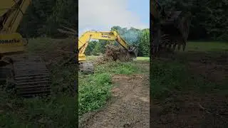 Cutting and Breaking a big stump