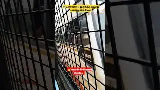 #valli kandan #bus #akt #whatsappstatus #vmr 320 vlog #top #trending #shorts #video