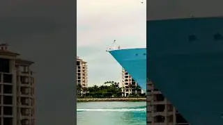 Чудо морей 🛳️ #лайк #поделиться #комментарий #подписаться #короткиевидеонаYouTube #короткоевидео ...
