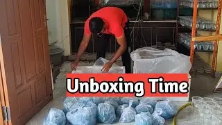  First exotic betta shipment of 2026 | wholesale and retail bettas unboxing #trending #bettafish 