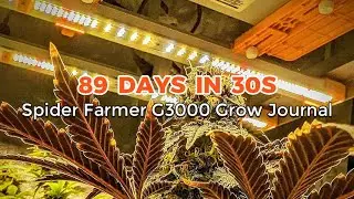 Откройте для себя G3000: простая настройка, потрясающие результаты! 🌱