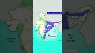 🌾 Rice Production in India Map | Major & Minor