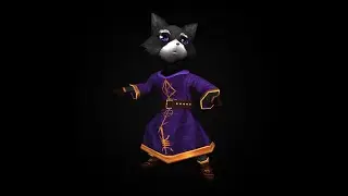 The wizard cat animation