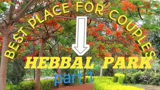 Best place for couples | hebbal lake, island | @Triggerbaba6  part 1