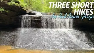 Three Short Hikes in Red River Gorge: Creation Falls, Chimney Top, and Princess Arch