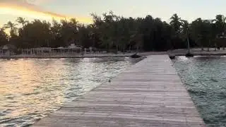 Cap Cana POV walk