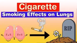 Cigarette Smoke Effects on Lungs | How Smoking Kills