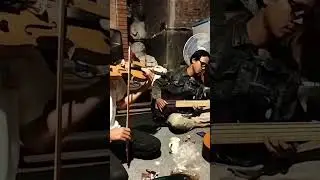 Improvisation (Violin) | Bird #Improvisation#Violin#Bird#Sound#Shorts