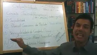 Aula PPG 16 - Culpabilidade