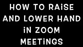 Zoom Meeting Raise and Lower Hand