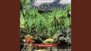 Exotic Paradise Part Two