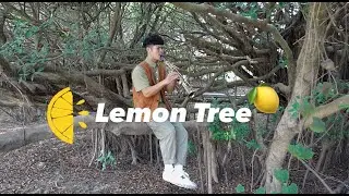 Fools Garden【Lemon Tree檸檬樹】雙高音薩克斯風版本!!!｜Saxophone『Cover by Tim』