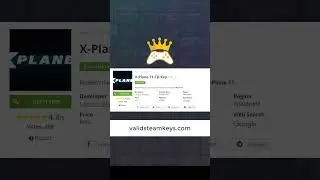 X Plane 11