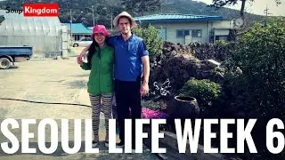 Korean countryside trip and Mua Irish Guesthouse in Namwon