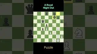 A Royal Night Out #chess #chessgame #chesscom #chesspuzzle #chesstactics #chessopenings #chesstricks