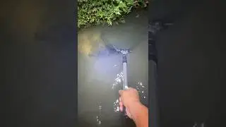 CATCH predator FISH