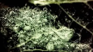 AGLAIA - WATER INSIDE THE LIGHT | Relaxing Music, Study Music, Yoga Music, Peaceful Sound