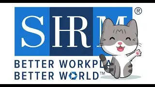 SHRM &ndash; CP Exam Flashcards BASK Section: Ethical Practice Competency